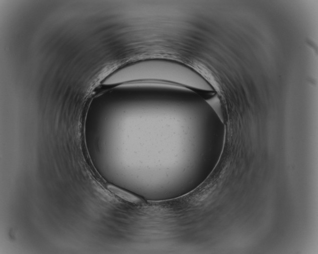 X0000091450389200709131719