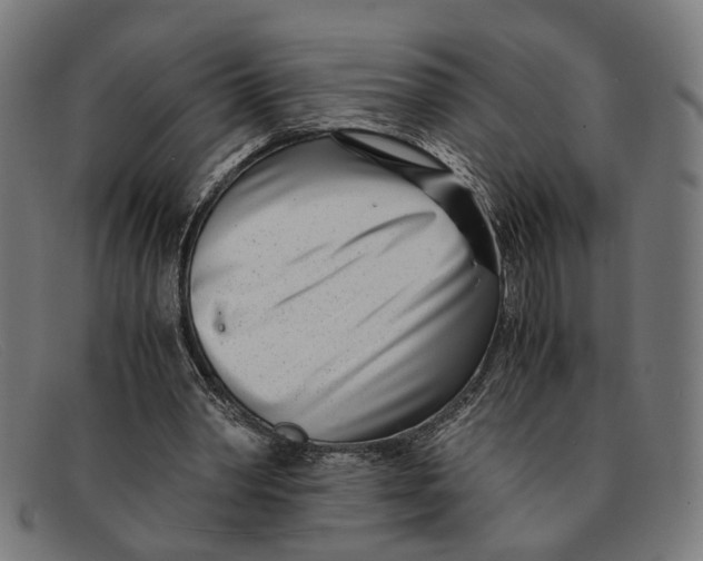 X0000091450390200709131719