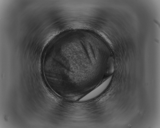 X0000091450391200709131719