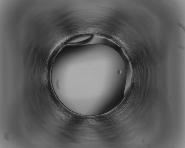 X0000091450392200709131719