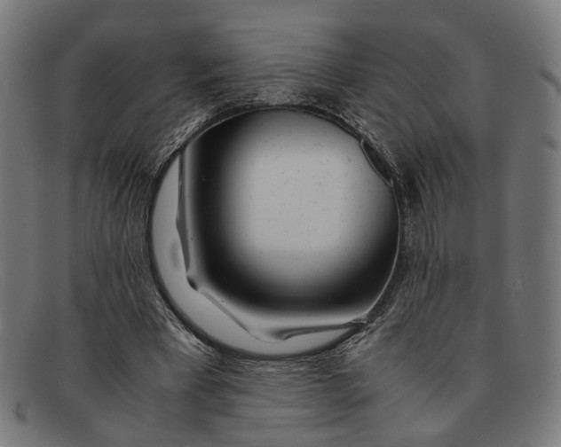 X0000091450393200709131719