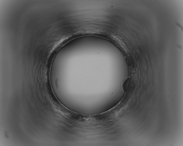 X0000091450395200709131719