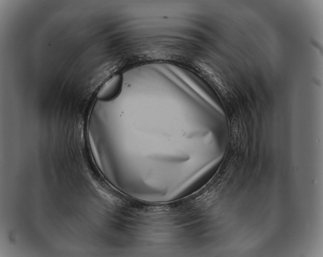 X0000091450398200709131719