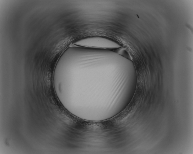 X0000091450402200709131719
