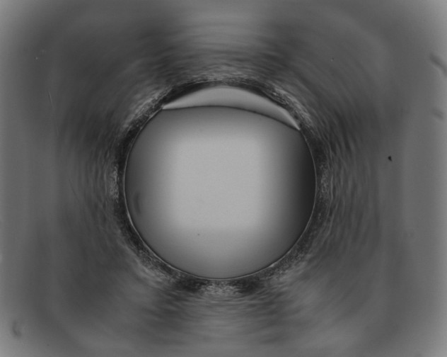 X0000091450403200709131719