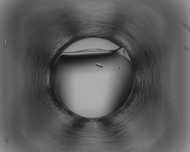 X0000091450404200709131719