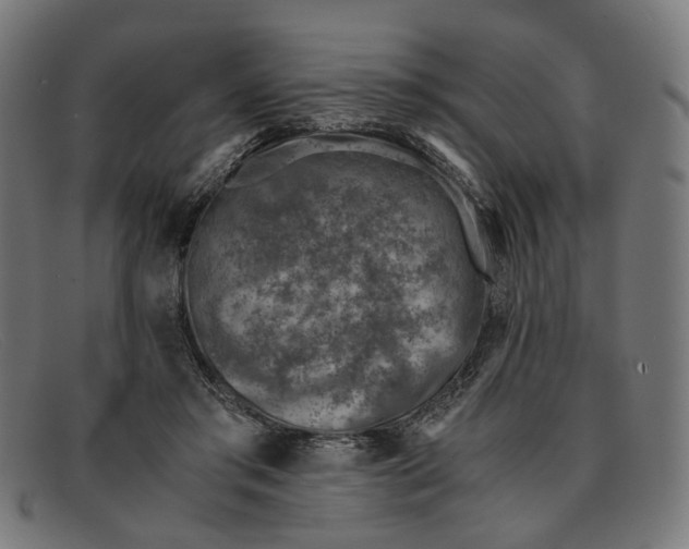 X0000091450405200709131719