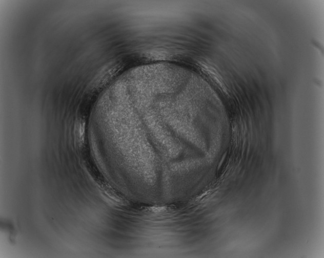 X0000091450406200709131719