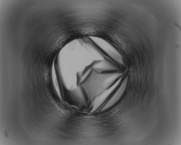 X0000091450408200709131719