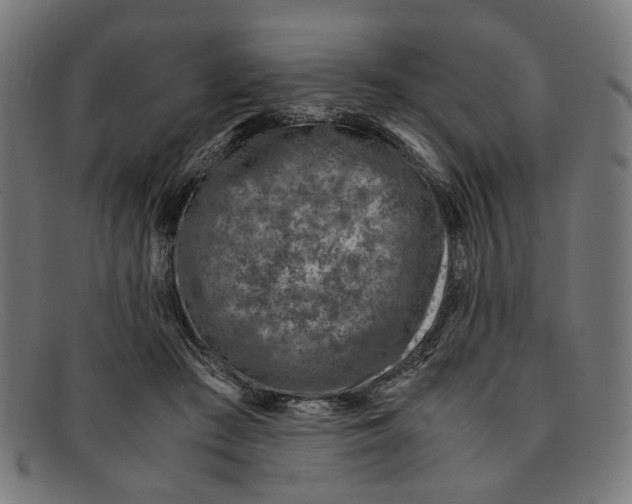 X0000091450409200709131719
