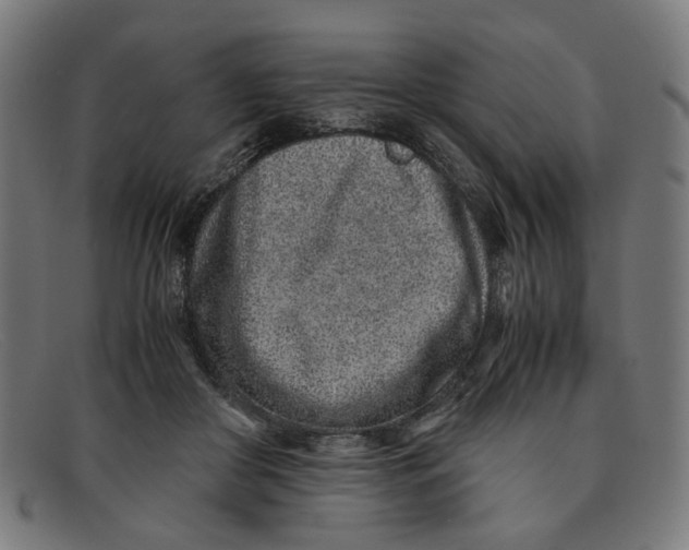 X0000091450410200709131719