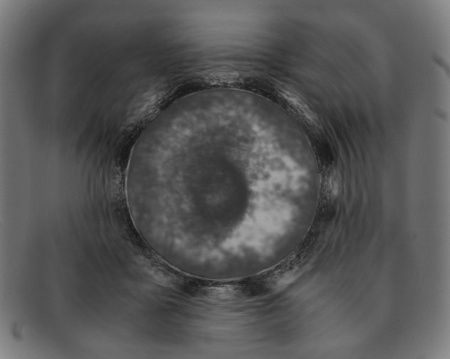 X0000091450411200709131719