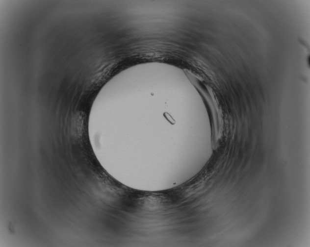 X0000091450412200709131719