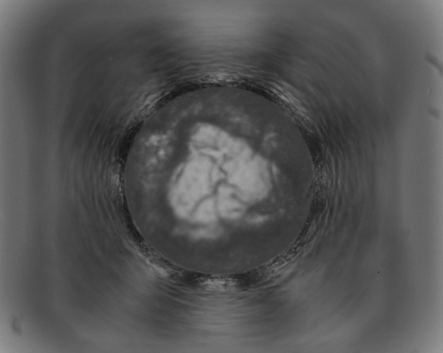 X0000091450415200709131719