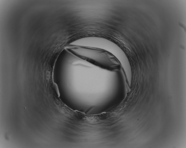 X0000091450417200709131719