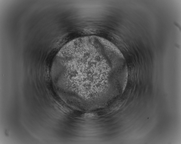 X0000091450418200709131719