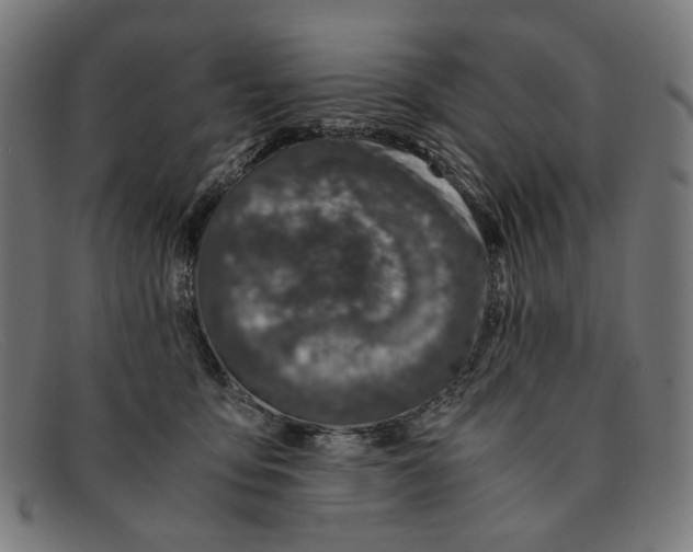 X0000091450419200709131719