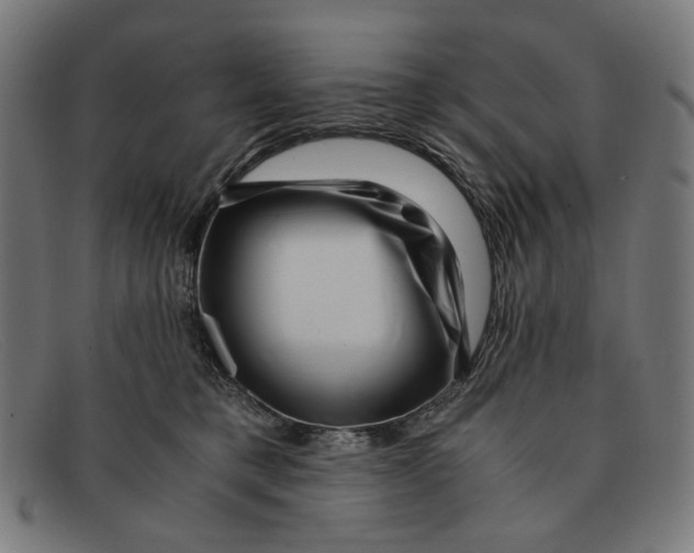 X0000091450421200709131719