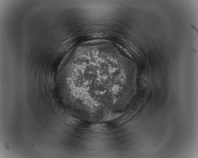 X0000091450422200709131719