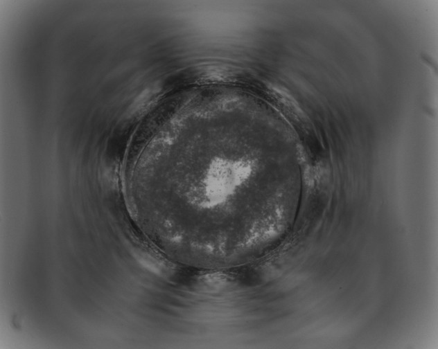 X0000091450423200709131719