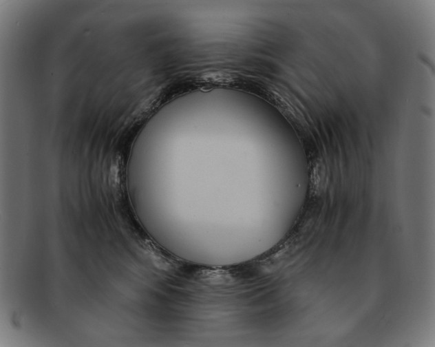 X0000091450424200709131719