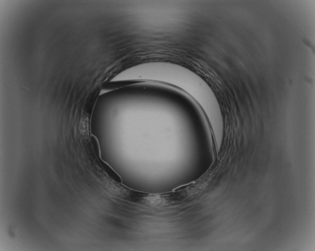 X0000091450425200709131719