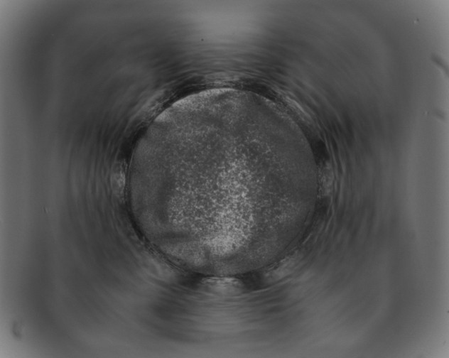 X0000091450427200709131719