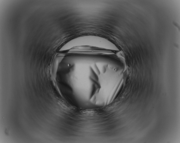 X0000091450428200709131719