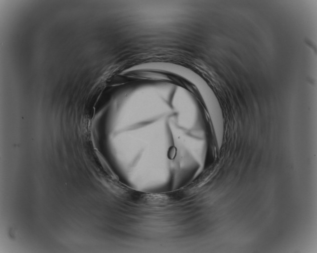 X0000091450429200709131718