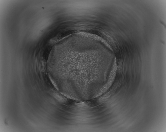 X0000091450430200709131718