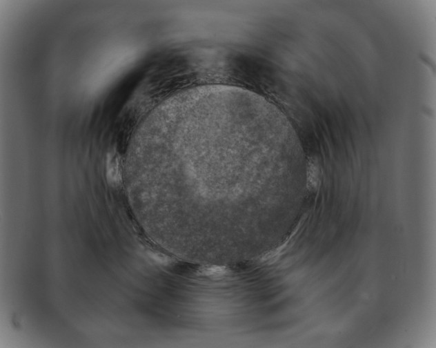 X0000091450431200709131718