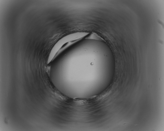 X0000091450432200709131718
