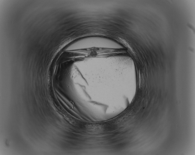 X0000091450435200709131718