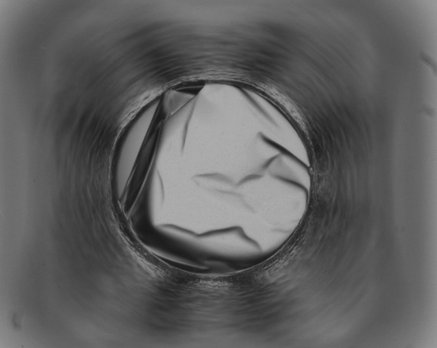 X0000091450437200709131718