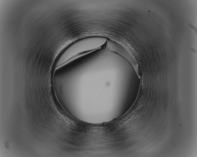 X0000091450438200709131718