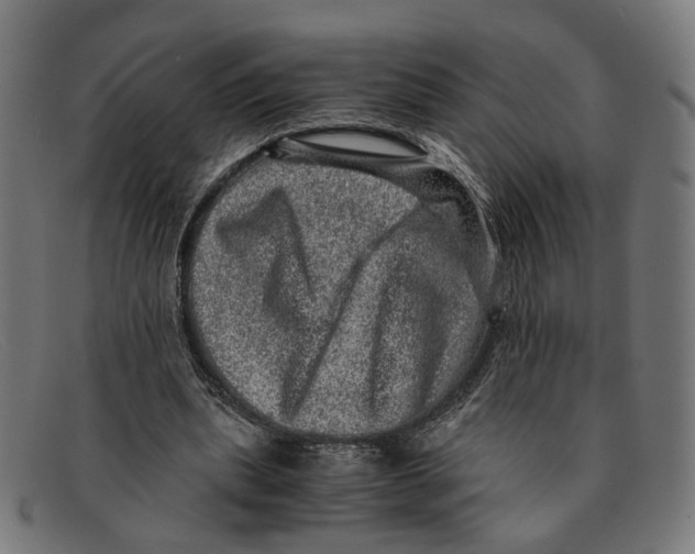X0000091450439200709131718