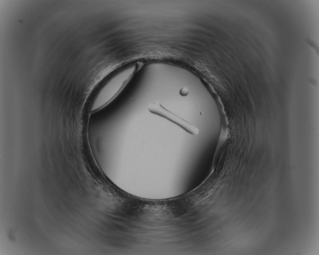 X0000091450440200709131718