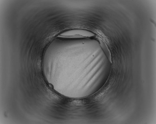 X0000091450441200709131718