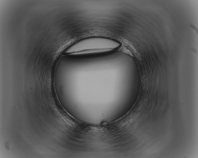 X0000091450442200709131718