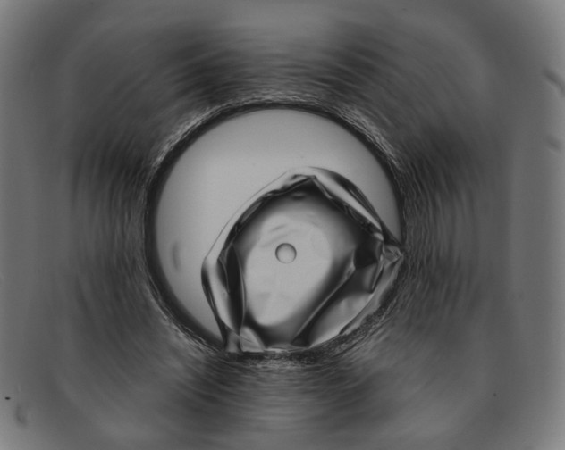 X0000091450444200709131718