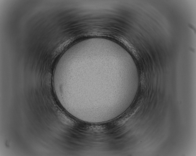 X0000091450445200709131718