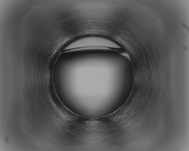 X0000091450448200709131718