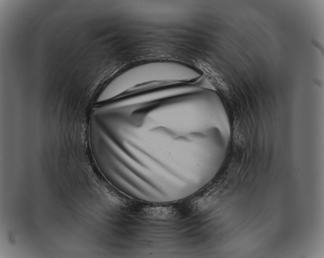 X0000091450449200709131718