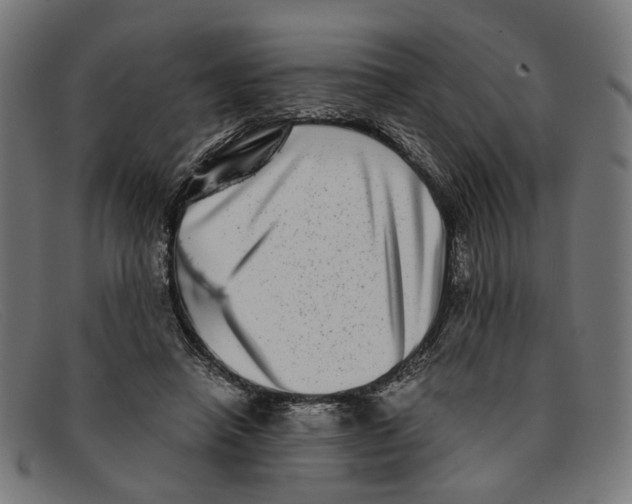 X0000091450450200709131718