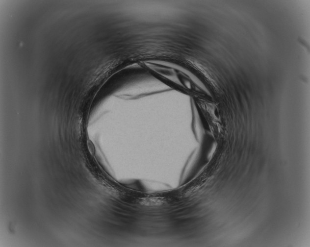 X0000091450451200709131718