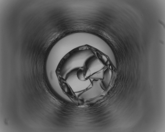 X0000091450452200709131718