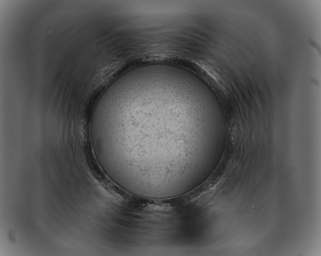 X0000091450455200709131718