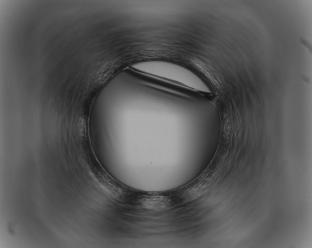 X0000091450459200709131718