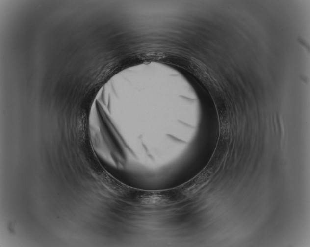 X0000091450460200709131718