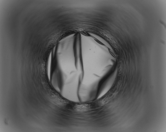 X0000091450461200709131718